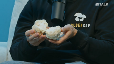 Paulo mostra o Cogumelo e fala sobre a sua composição